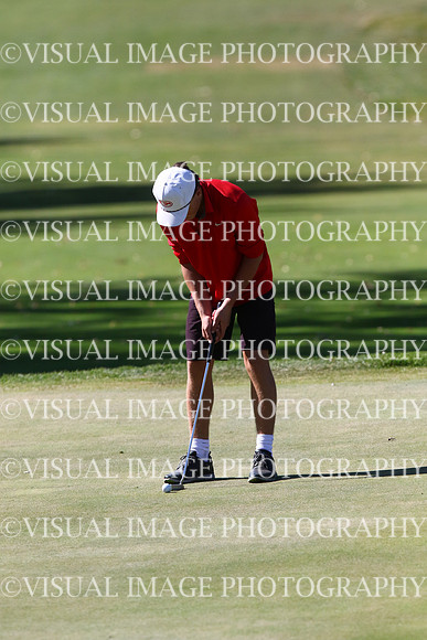 ILGF_24_T205049