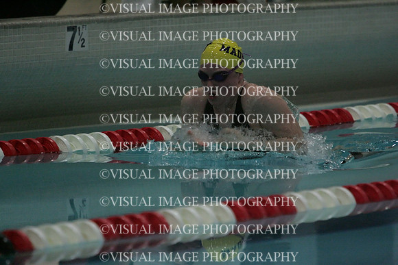 wiswg09_1breast_1002