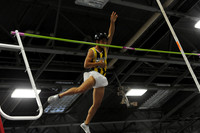 POLE VAULT
