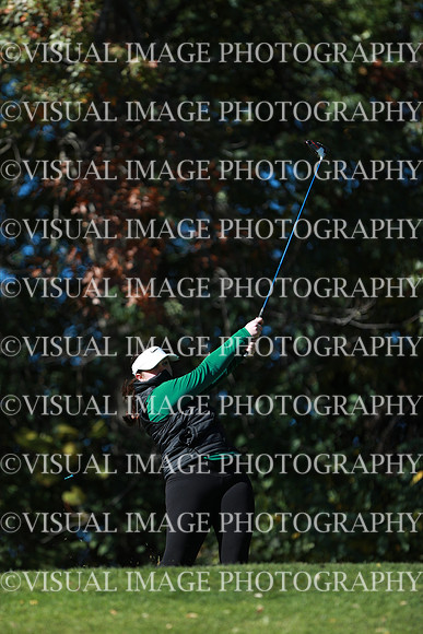 WIGFG_24_F20036