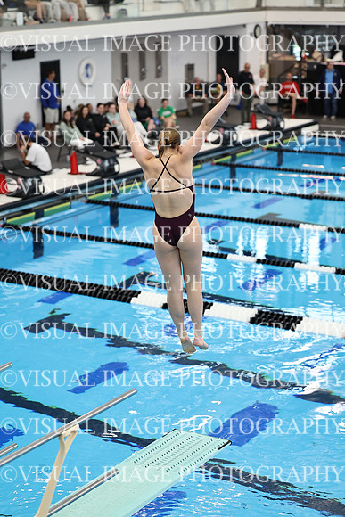 ILSWG24_DIVE_F0051