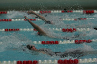 wiswg09_1back_2012