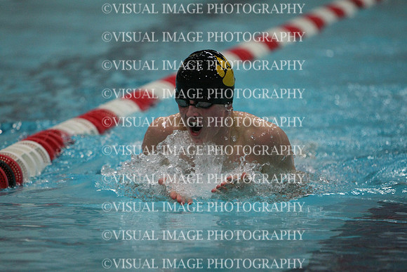 wisw10_2imed_1021