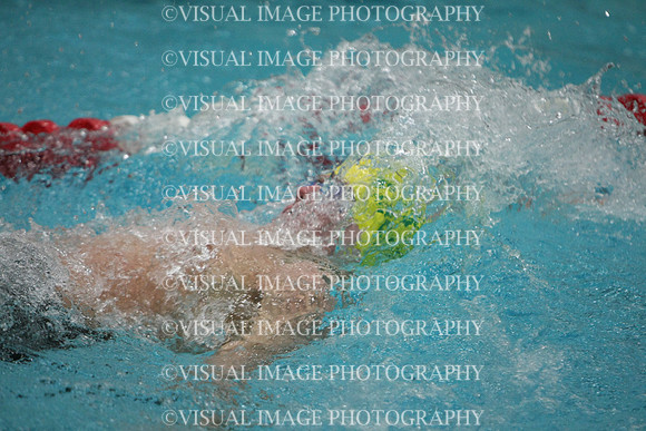 wisw10_1back_1024