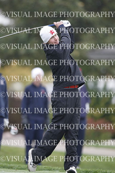 ILGF_13_T311006