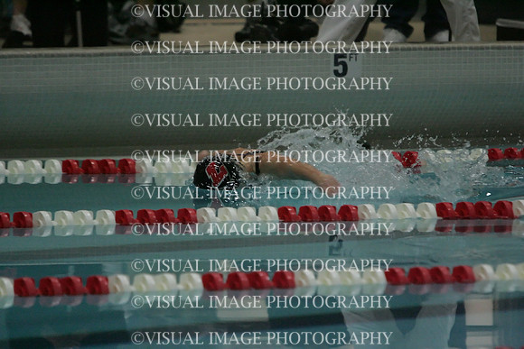 wiswg09_2imed_1008