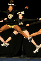 ILCHEER_11_M18019
