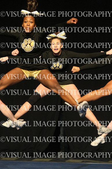 ILCHEER_11_M18019