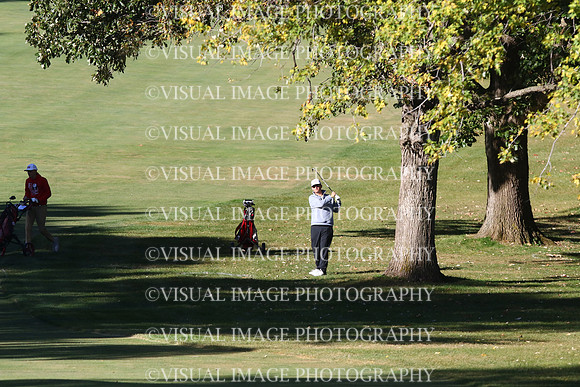 ILGF_24_T204008