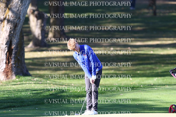 ILGF_24_T208014