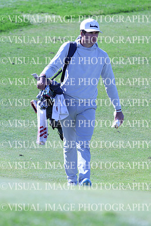 ILGF_24_T3120039