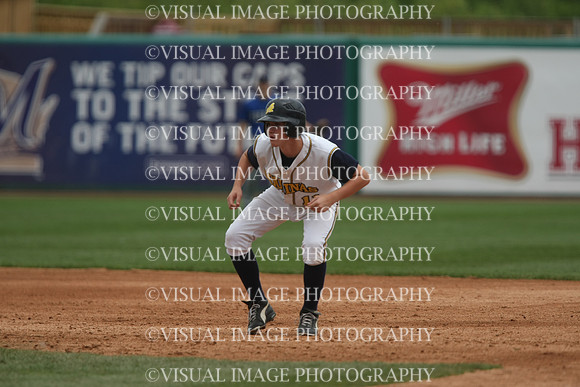 wibbsp_10_s31045