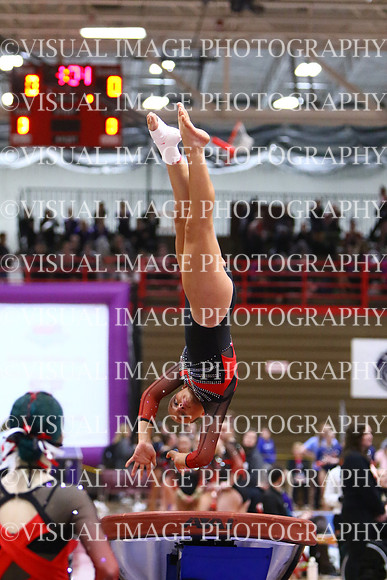 WIGYMG25_VAULT_T030