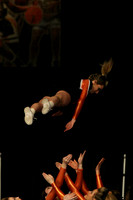ILCHEER_15_M12008