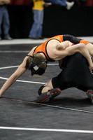 wiwr10_103_c2014