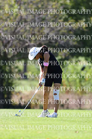 ILGFG_24_212011