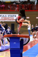 WIGYMG25_VAULT_T004