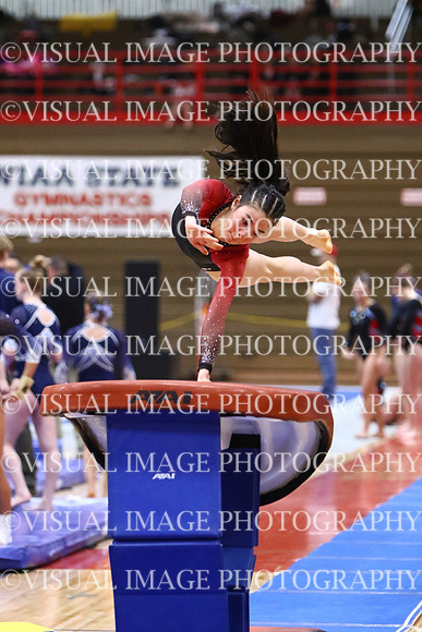 WIGYMG25_VAULT_T004