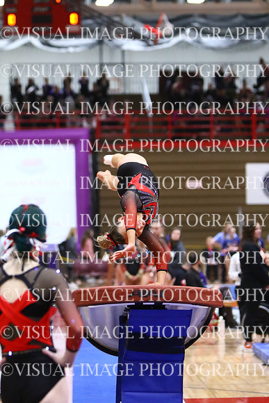 WIGYMG25_VAULT_T027