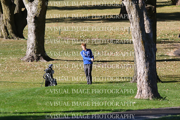 ILGF_24_T208010