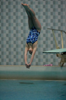 wiswg09_dive_2011