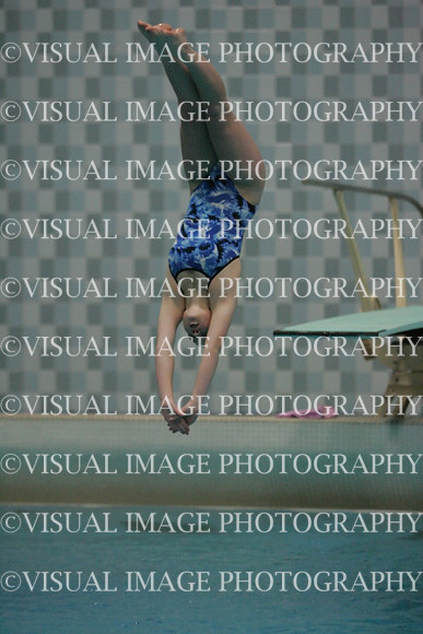 wiswg09_dive_2011