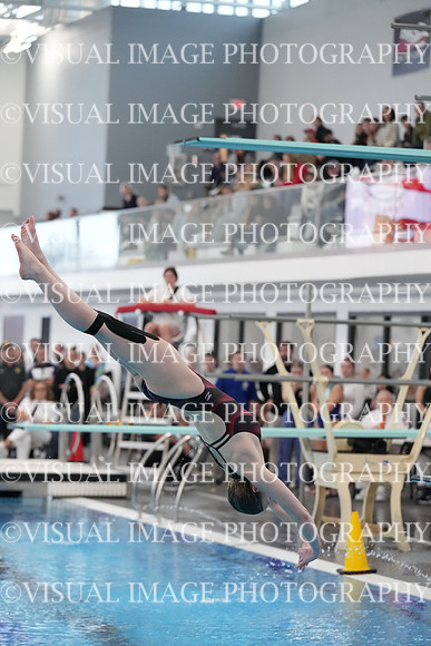 ILSWG24_DIVE_F0038