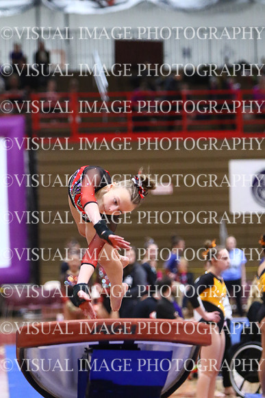 WIGYMG25_VAULT_T017