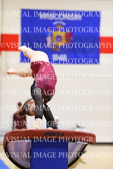 WIGMG22_VAULT_1022