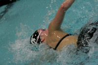 wiswg09_4frelay_2012
