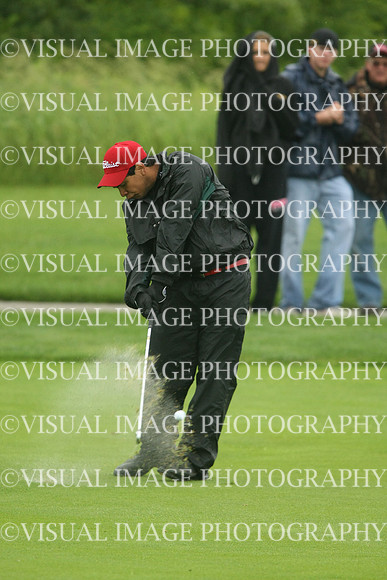 wigf_10_i3225
