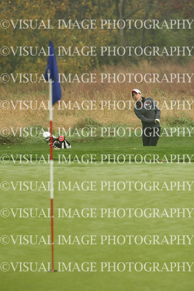 WIGFG_13_T106043