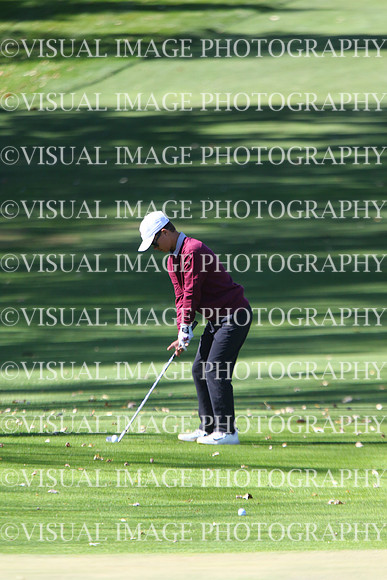 ILGF_24_T201031