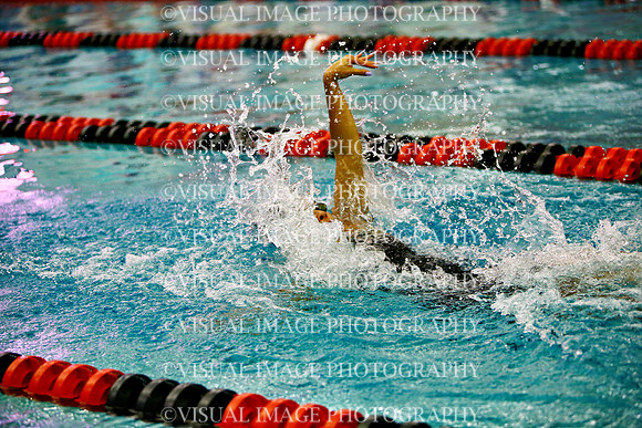 WISWG_24_S20029