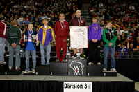 division 3
