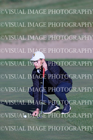 ILGF_24_T3050031