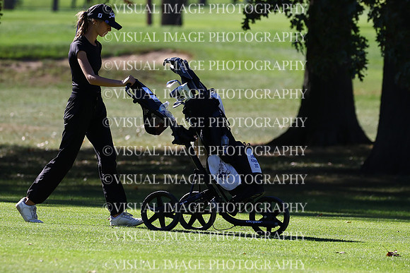 ILGFG_24_206032