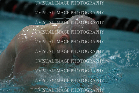 wisw10_1breast_2048
