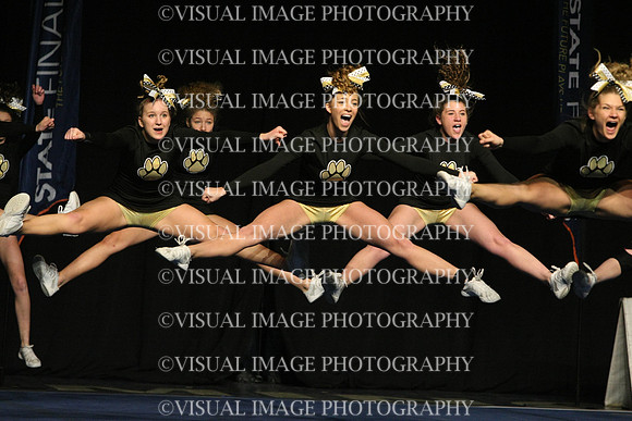ILCHEER_11_M18034