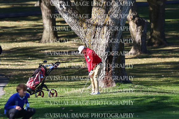 ILGF_24_T206006