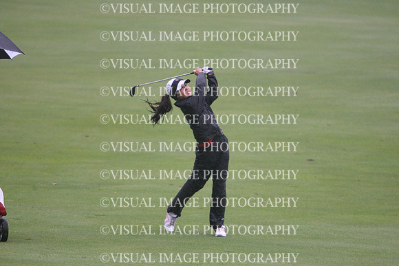WIGFG_13_IND1007