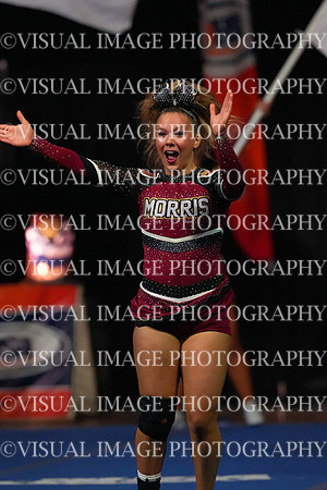 ILCHEER_25_M150028