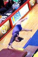ILGYMG25_VAULT_P0011