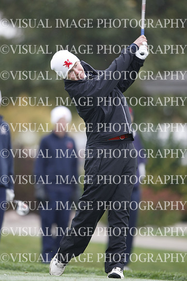 ILGF_13_T311005