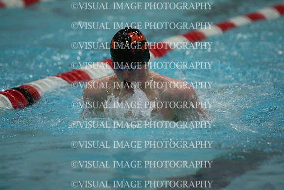 wisw10_1breast_2040