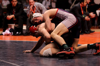 ILIWR11_135_F2006