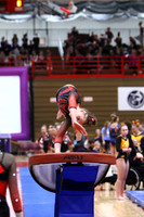 WIGYMG25_VAULT_T020