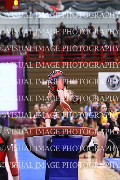 WIGYMG25_VAULT_T020