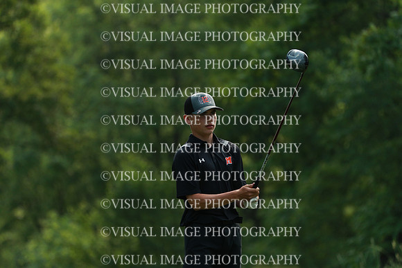 WIGF_25_F230014