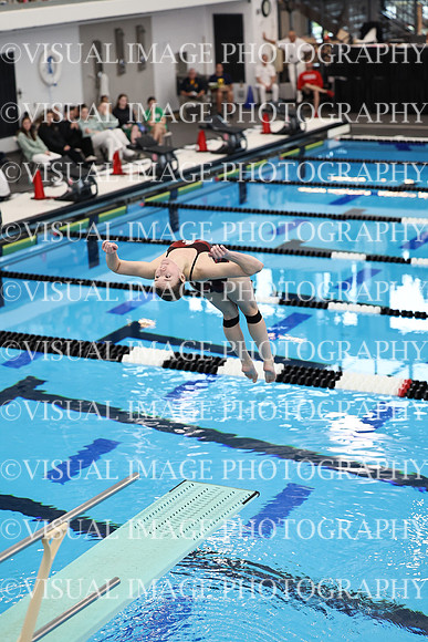 ILSWG24_DIVE_F0011